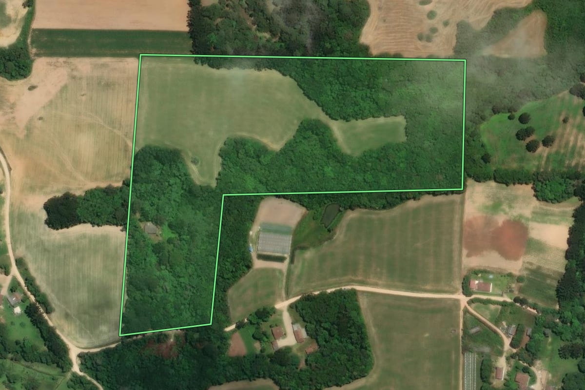 Imagem de satélite do imóvel rural em Araucária (PR), com o contorno declarado no CAR desenhado por cima.