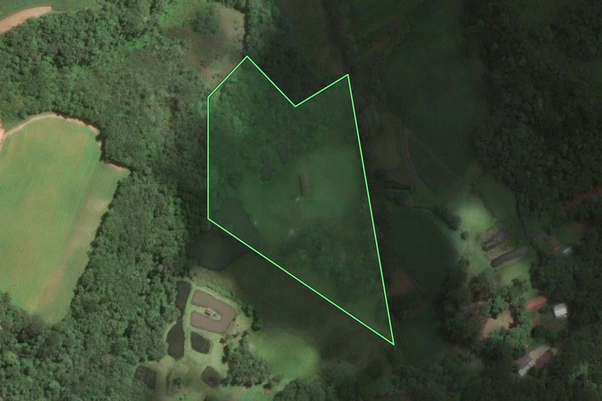 Imagem de satélite do imóvel rural em Araucária (PR), com o contorno declarado no CAR desenhado por cima.