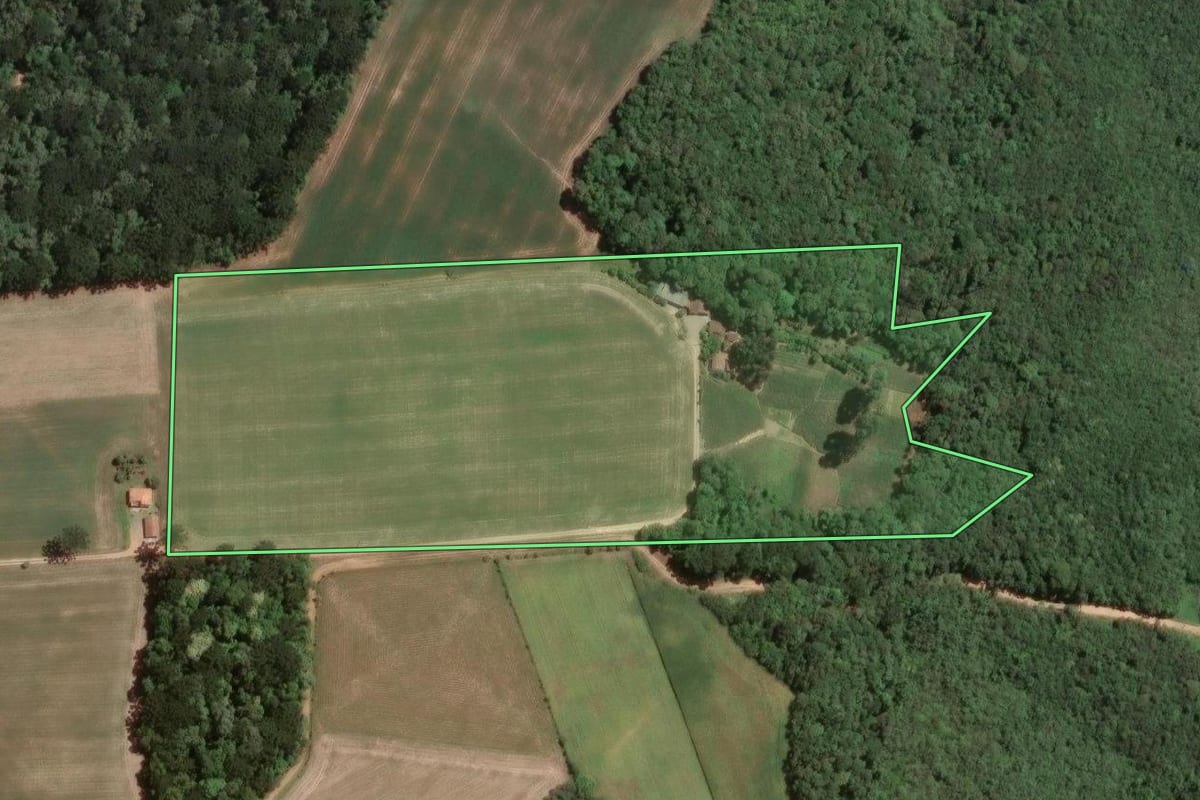 Imagem de satélite do imóvel rural em Araucária (PR), com o contorno declarado no CAR desenhado por cima.