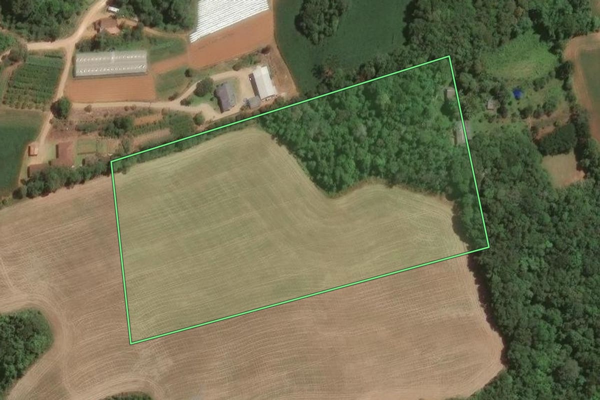 Imagem de satélite do imóvel rural em Araucária (PR), com o contorno declarado no CAR desenhado por cima.