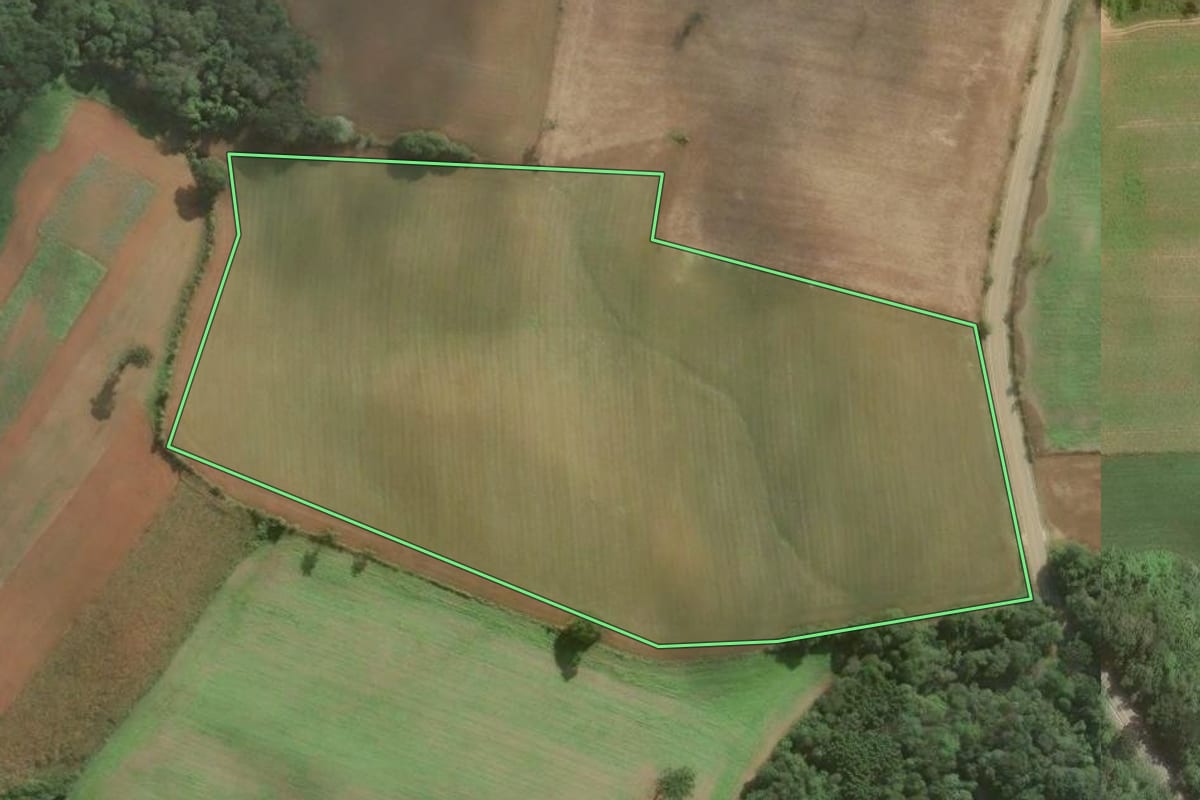 Imagem de satélite do imóvel rural em Araucária (PR), com o contorno declarado no CAR desenhado por cima.
