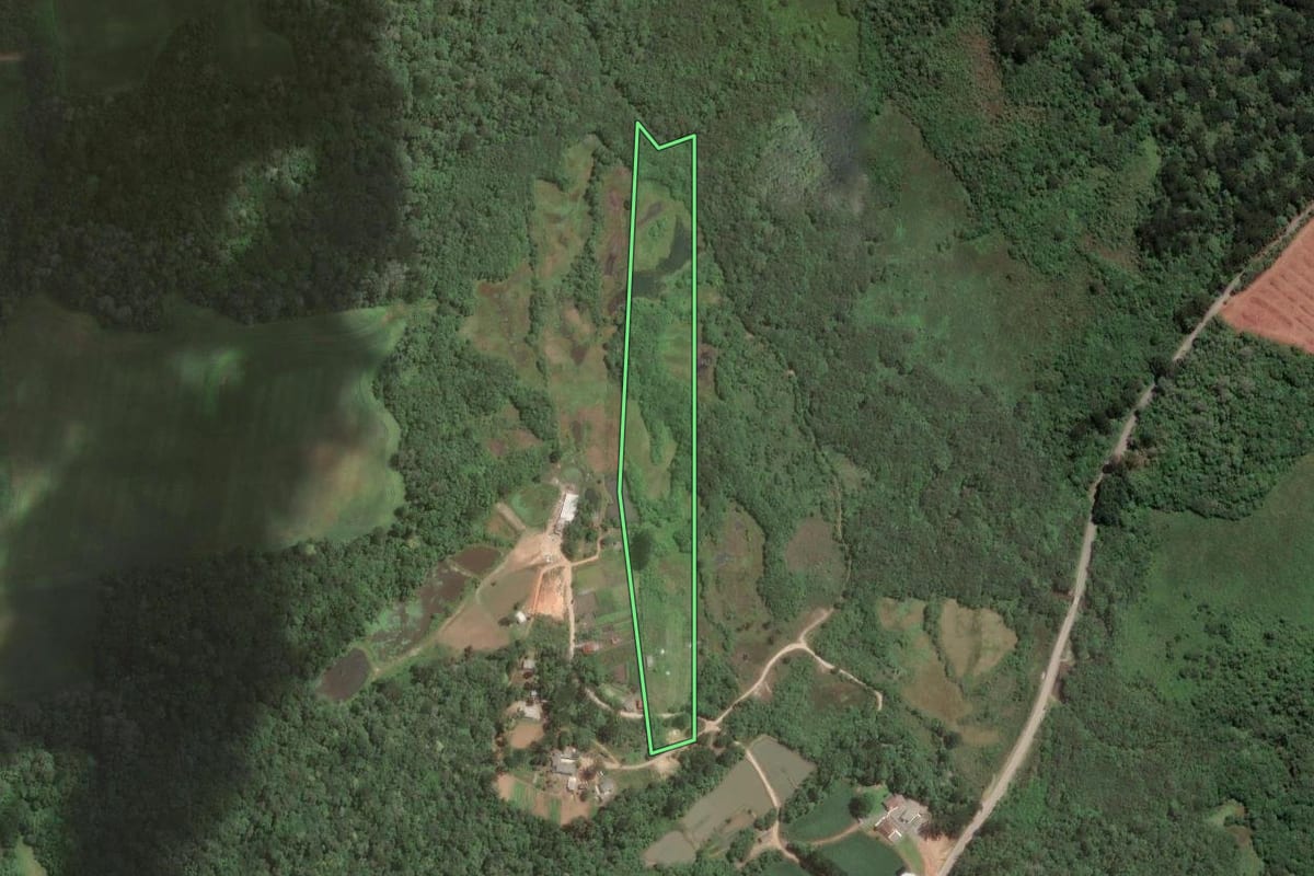 Imagem de satélite do imóvel rural em Araucária (PR), com o contorno declarado no CAR desenhado por cima.