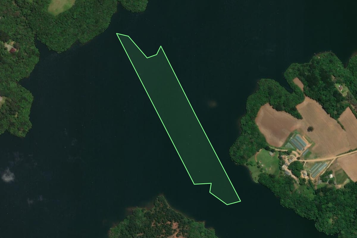 Imagem de satélite do imóvel rural em Araucária (PR), com o contorno declarado no CAR desenhado por cima.