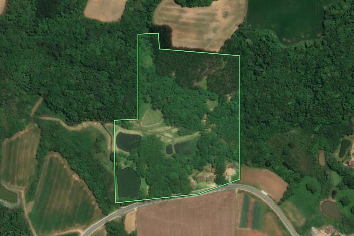 Imagem de satélite do imóvel rural em Araucária (PR), com o contorno declarado no CAR desenhado por cima.