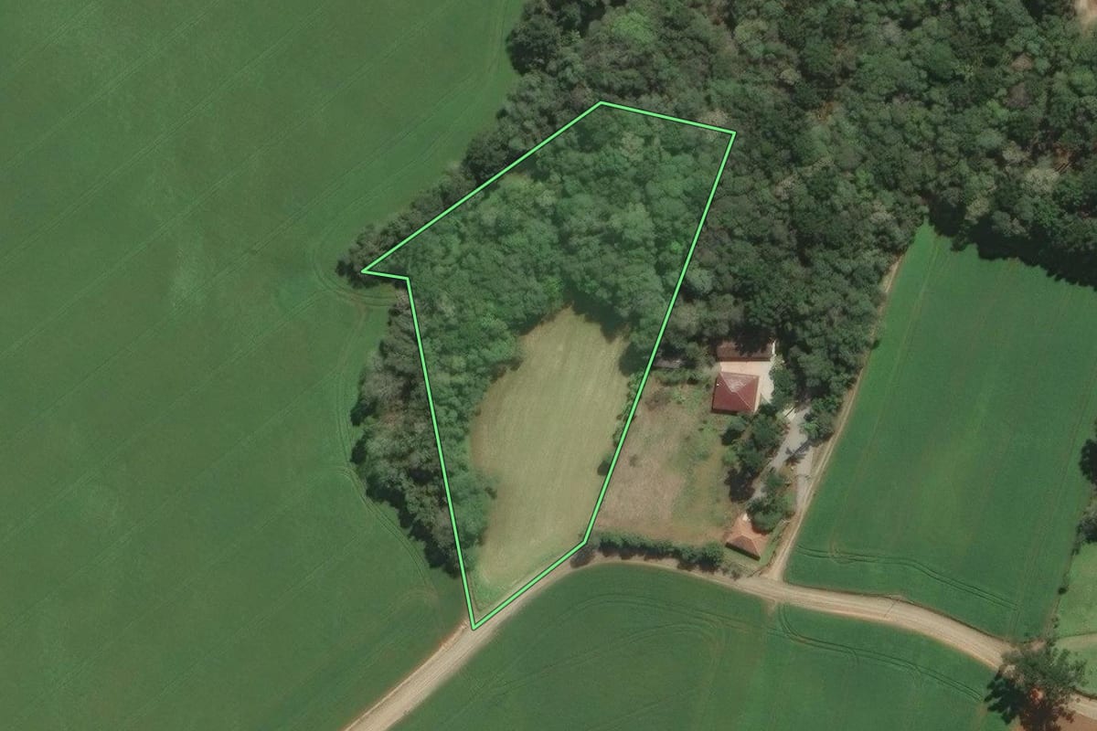 Imagem de satélite do imóvel rural em Araucária (PR), com o contorno declarado no CAR desenhado por cima.