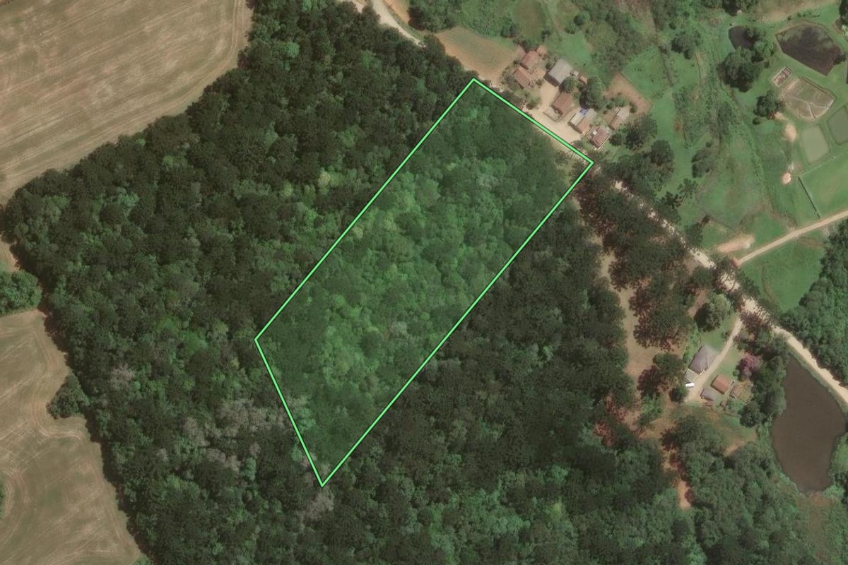 Imagem de satélite do imóvel rural em Araucária (PR), com o contorno declarado no CAR desenhado por cima.