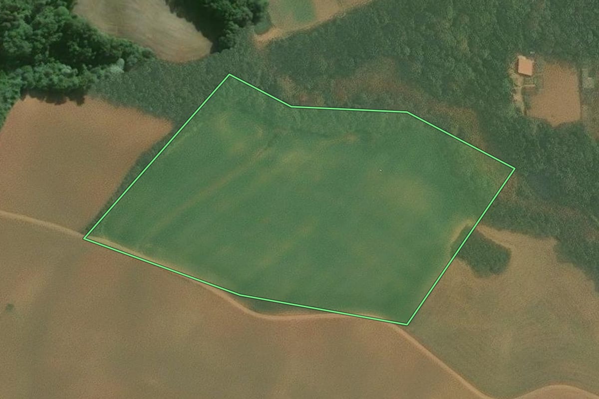 Imagem de satélite do imóvel rural em Araucária (PR), com o contorno declarado no CAR desenhado por cima.
