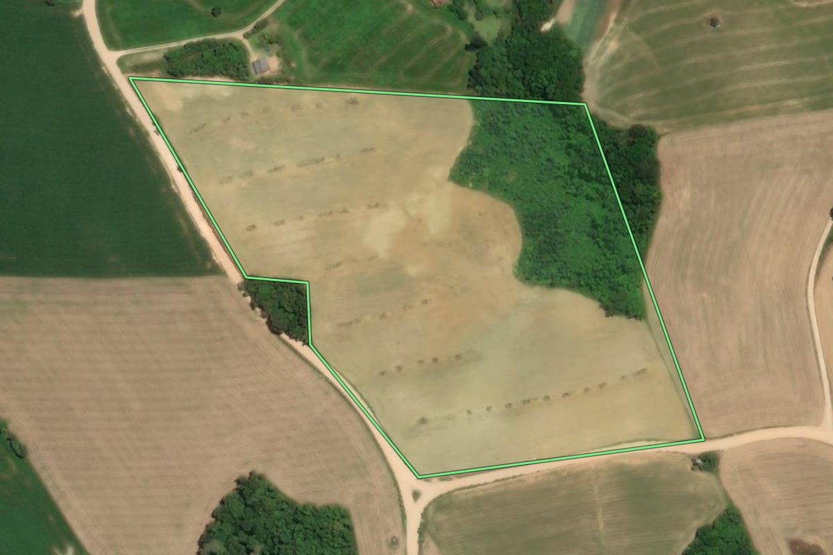 Imagem de satélite do imóvel rural em Araucária (PR), com o contorno declarado no CAR desenhado por cima.