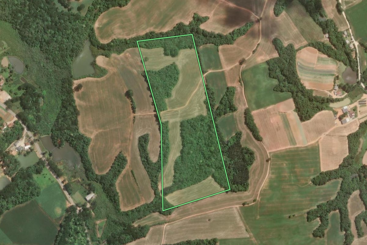 Imagem de satélite do imóvel rural em Araucária (PR), com o contorno declarado no CAR desenhado por cima.