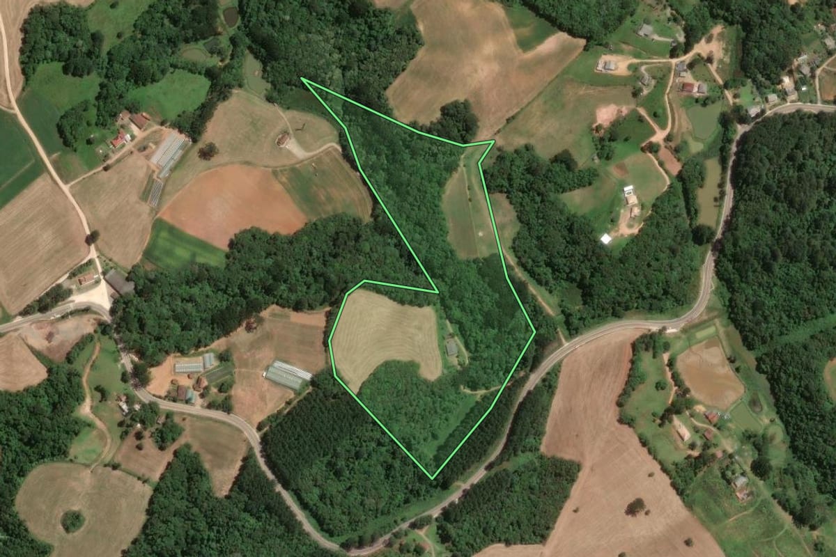 Imagem de satélite do imóvel rural em Araucária (PR), com o contorno declarado no CAR desenhado por cima.