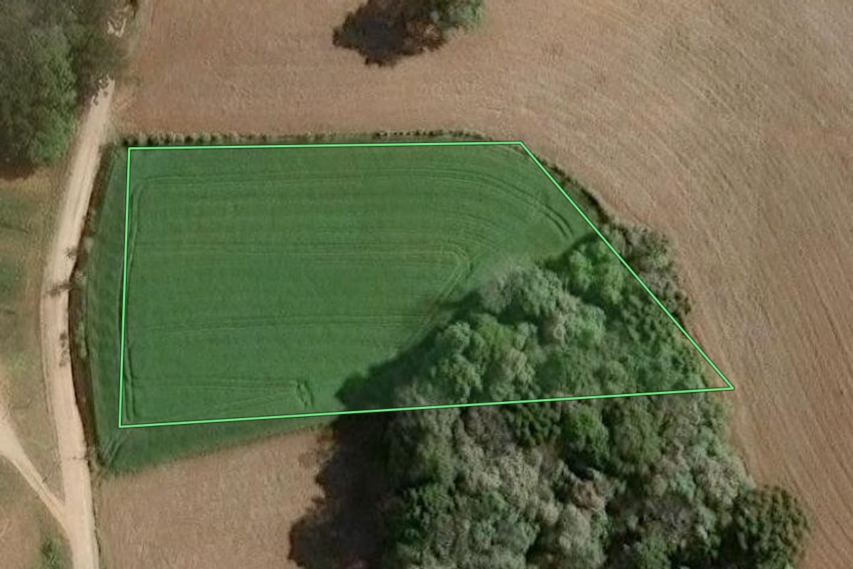 Imagem de satélite do imóvel rural em Araucária (PR), com o contorno declarado no CAR desenhado por cima.