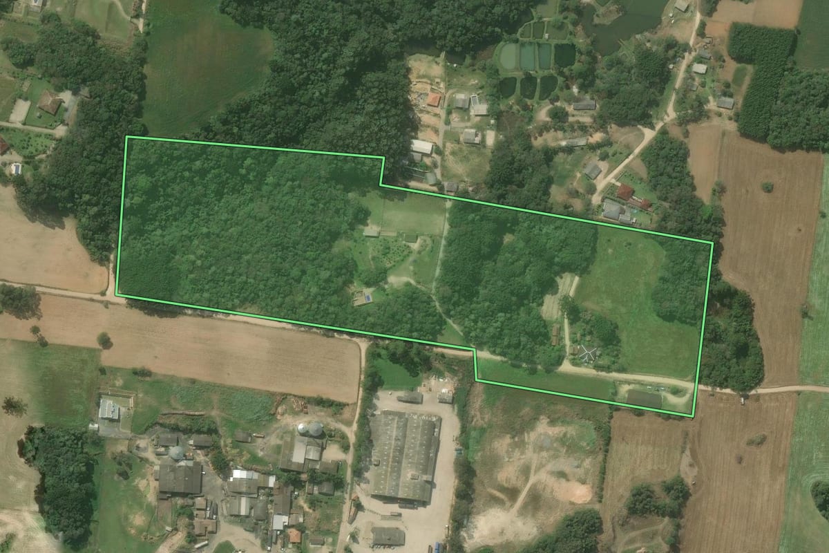 Imagem de satélite do imóvel rural em Araucária (PR), com o contorno declarado no CAR desenhado por cima.