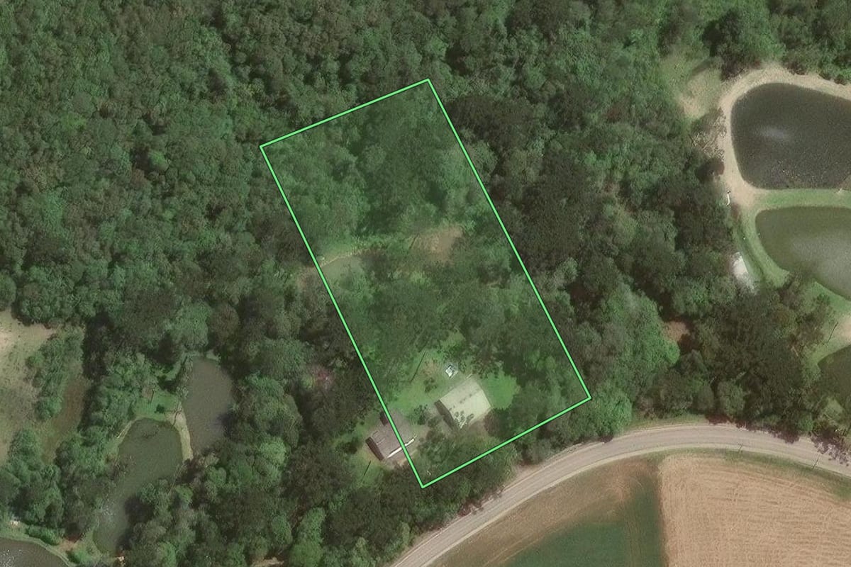 Imagem de satélite do imóvel rural em Araucária (PR), com o contorno declarado no CAR desenhado por cima.
