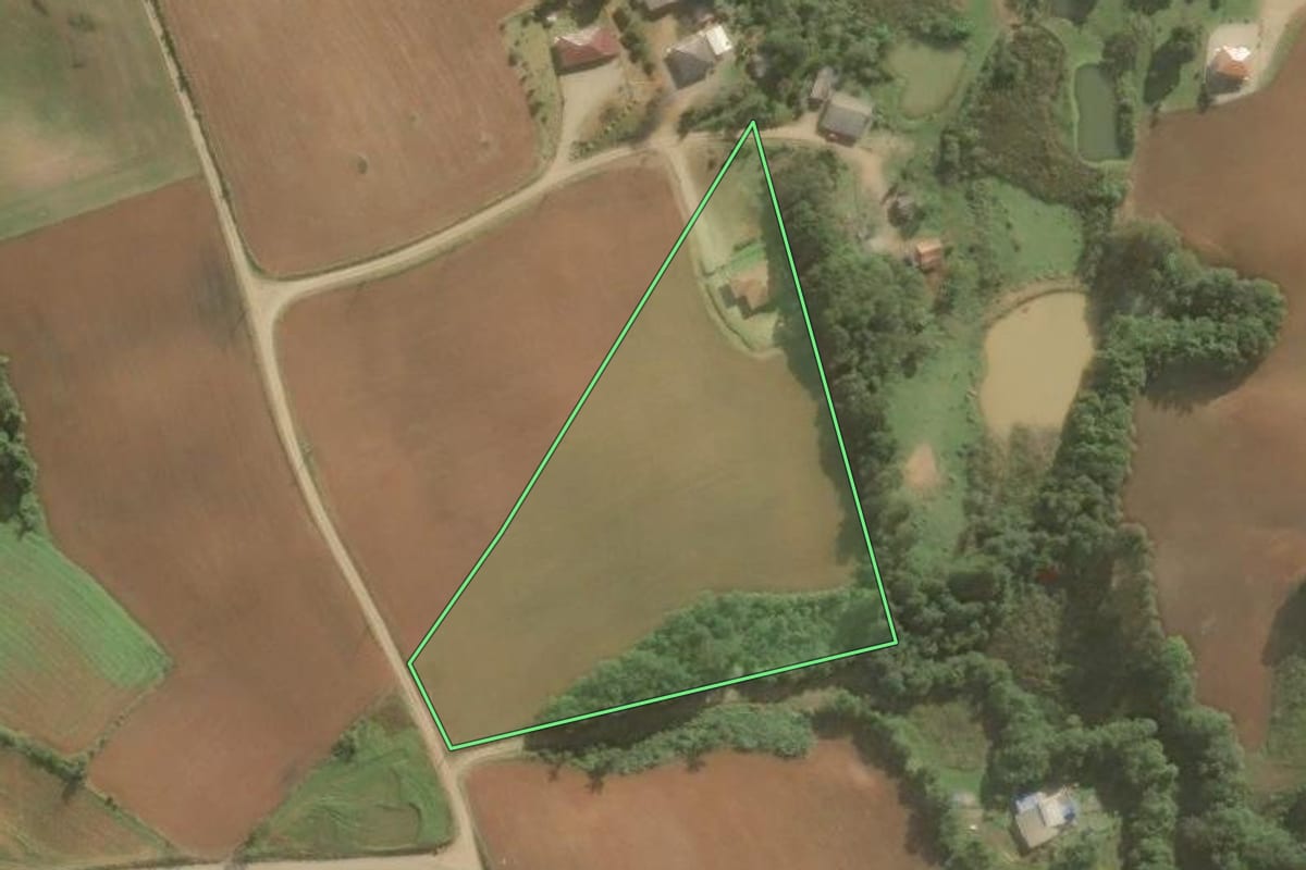 Imagem de satélite do imóvel rural em Araucária (PR), com o contorno declarado no CAR desenhado por cima.