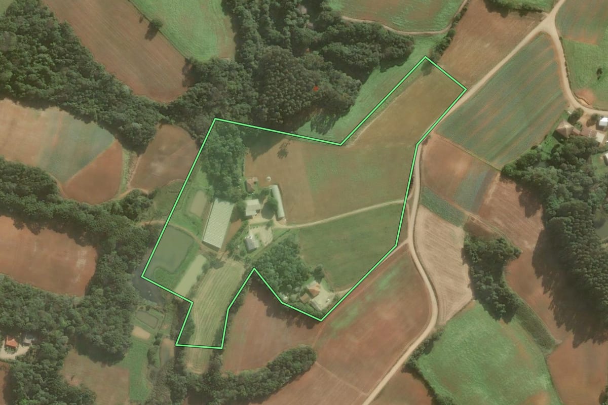 Imagem de satélite do imóvel rural em Araucária (PR), com o contorno declarado no CAR desenhado por cima.