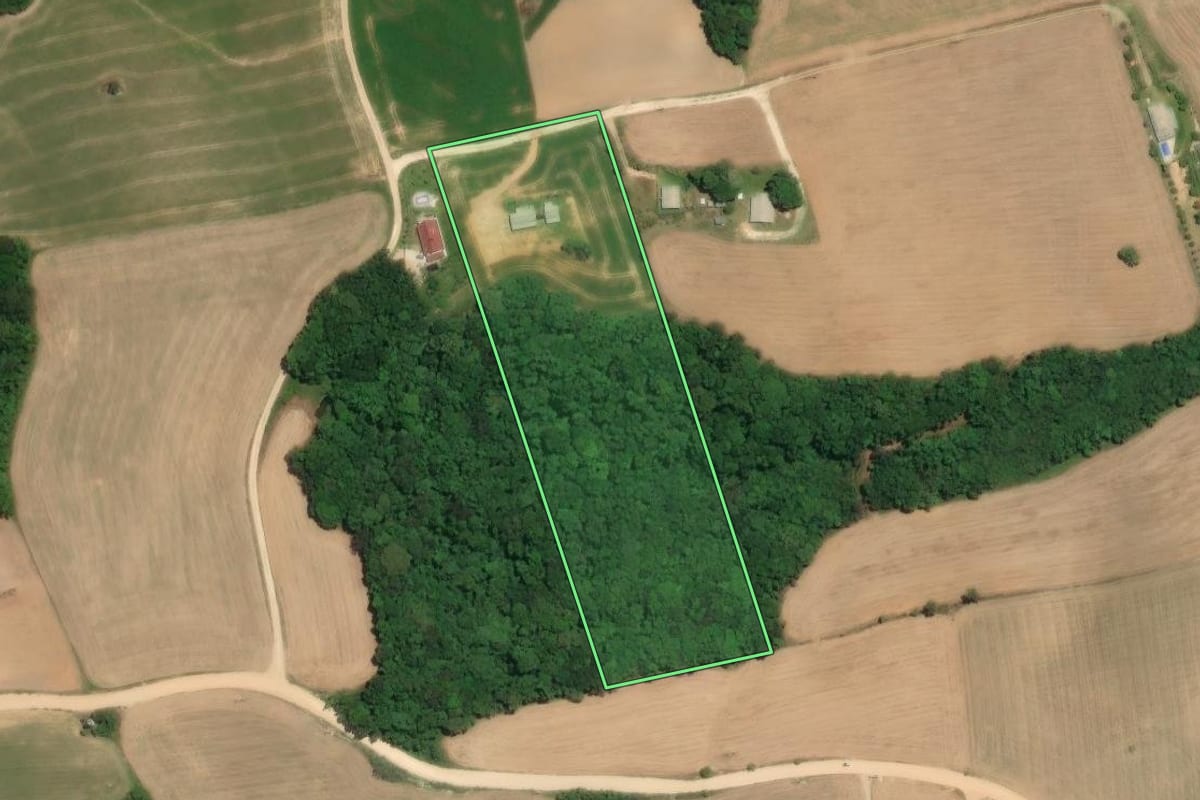 Imagem de satélite do imóvel rural em Araucária (PR), com o contorno declarado no CAR desenhado por cima.
