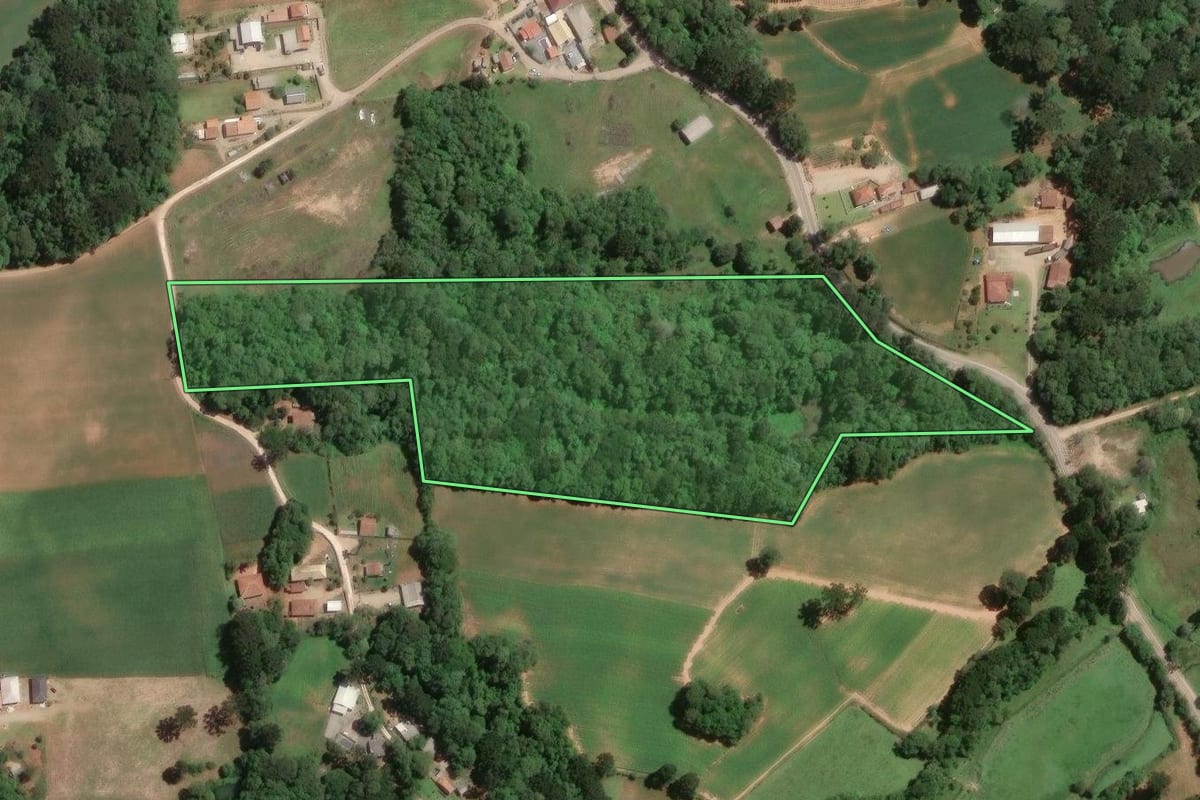 Imagem de satélite do imóvel rural em Araucária (PR), com o contorno declarado no CAR desenhado por cima.