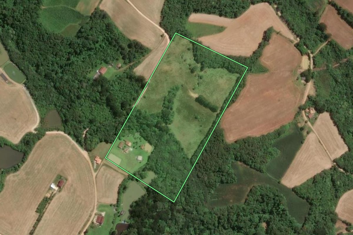Imagem de satélite do imóvel rural em Araucária (PR), com o contorno declarado no CAR desenhado por cima.