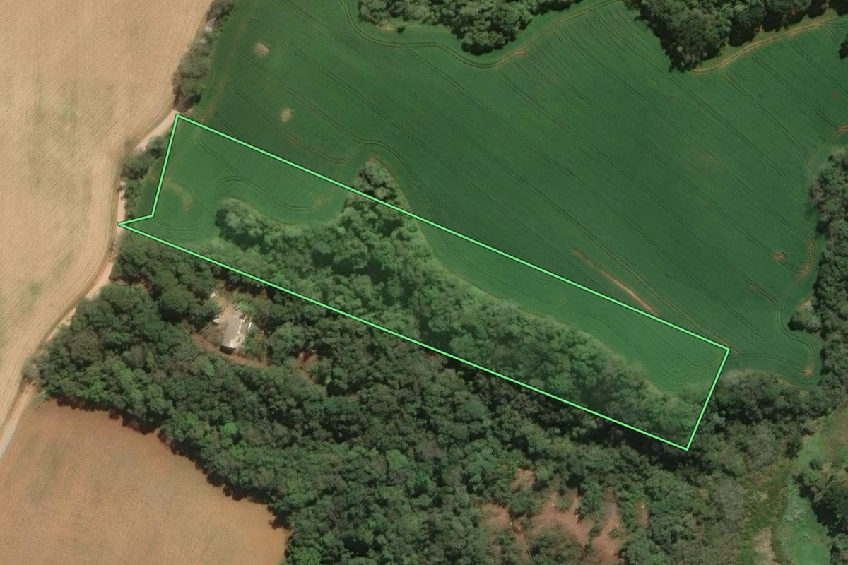 Imagem de satélite do imóvel rural em Araucária (PR), com o contorno declarado no CAR desenhado por cima.