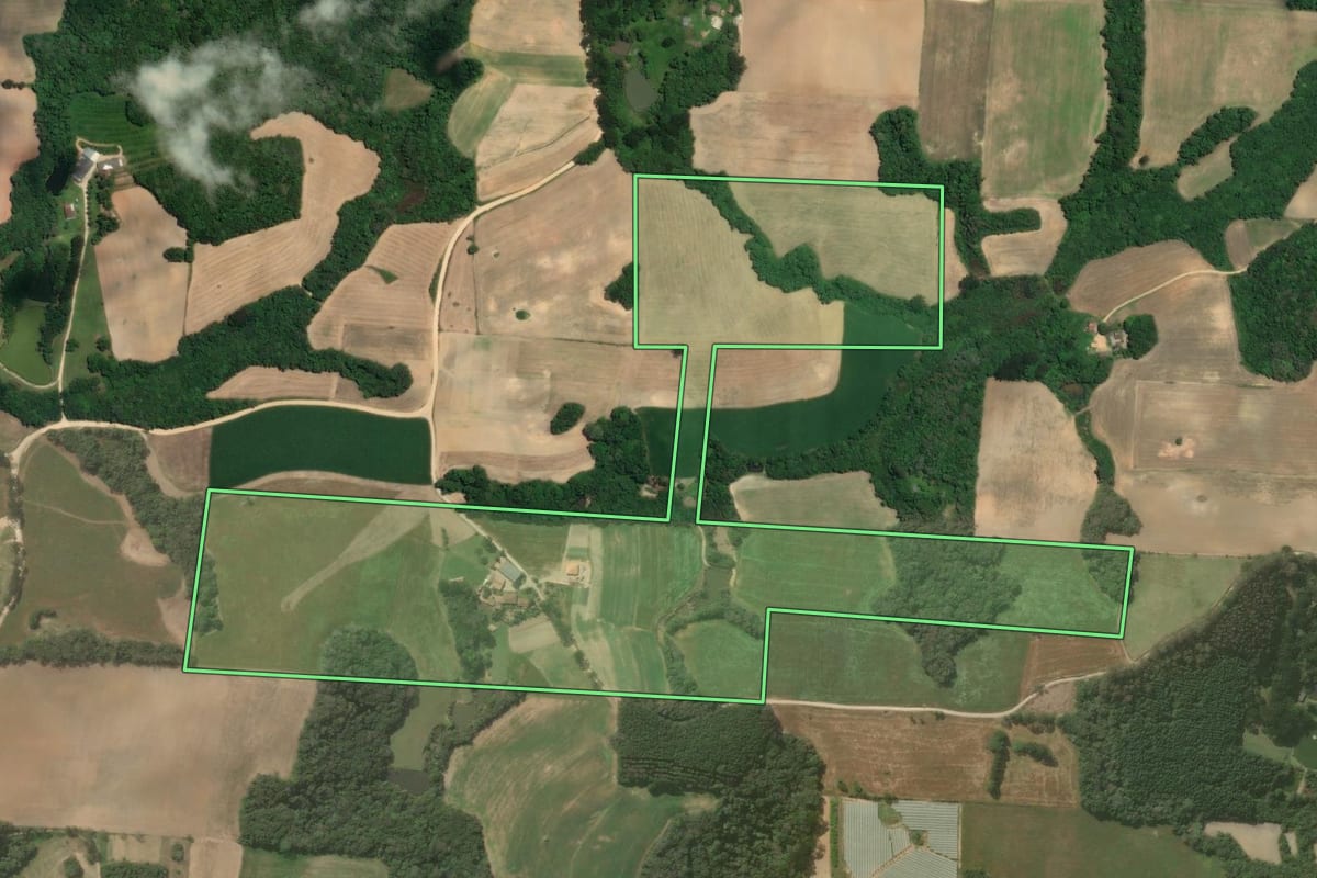 Imagem de satélite do imóvel rural em Araucária (PR), com o contorno declarado no CAR desenhado por cima.