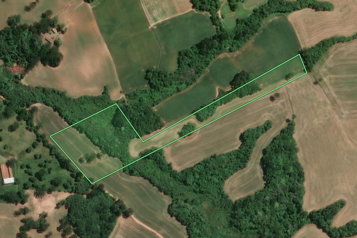Imagem de satélite do imóvel rural em Araucária (PR), com o contorno declarado no CAR desenhado por cima.