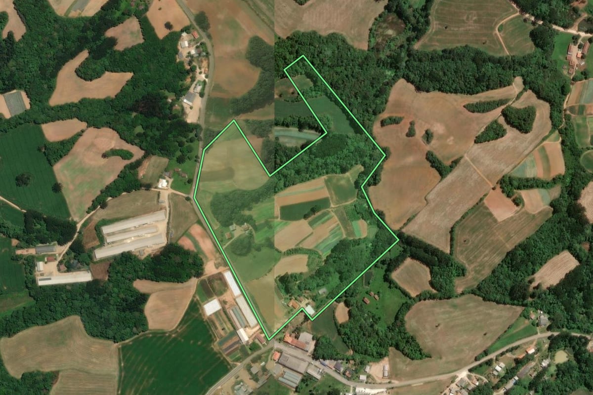 Imagem de satélite do imóvel rural em Araucária (PR), com o contorno declarado no CAR desenhado por cima.