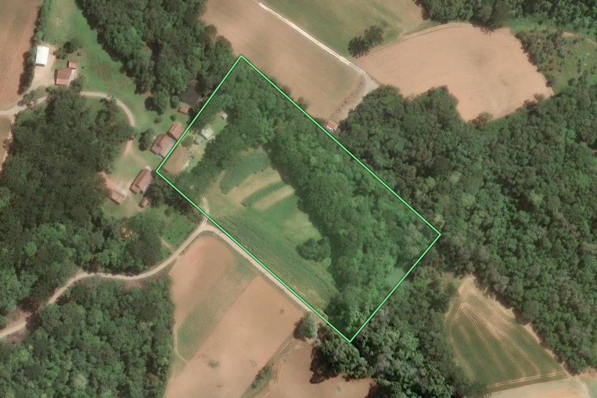 Imagem de satélite do imóvel rural em Araucária (PR), com o contorno declarado no CAR desenhado por cima.