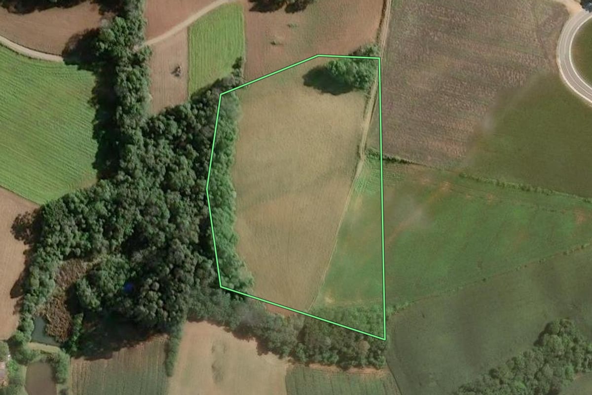 Imagem de satélite do imóvel rural em Araucária (PR), com o contorno declarado no CAR desenhado por cima.
