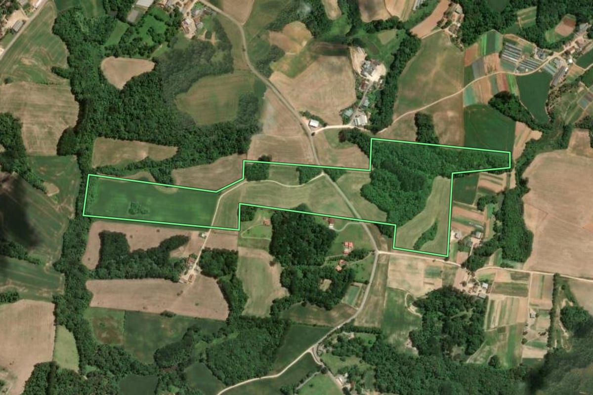 Imagem de satélite do imóvel rural em Araucária (PR), com o contorno declarado no CAR desenhado por cima.