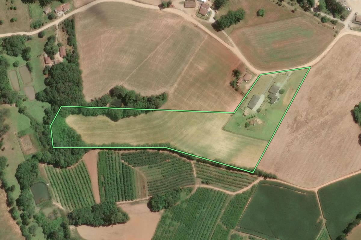 Imagem de satélite do imóvel rural em Araucária (PR), com o contorno declarado no CAR desenhado por cima.