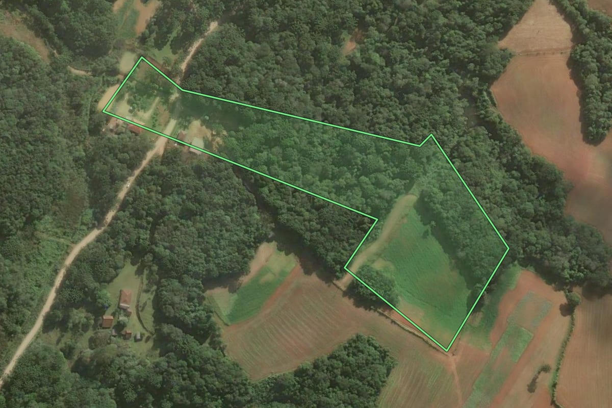 Imagem de satélite do imóvel rural em Araucária (PR), com o contorno declarado no CAR desenhado por cima.