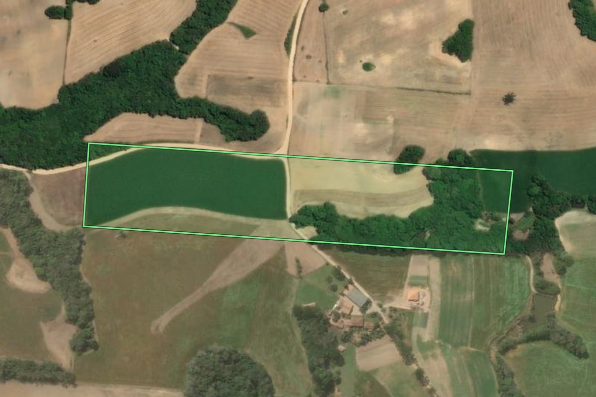 Imagem de satélite do imóvel rural em Araucária (PR), com o contorno declarado no CAR desenhado por cima.