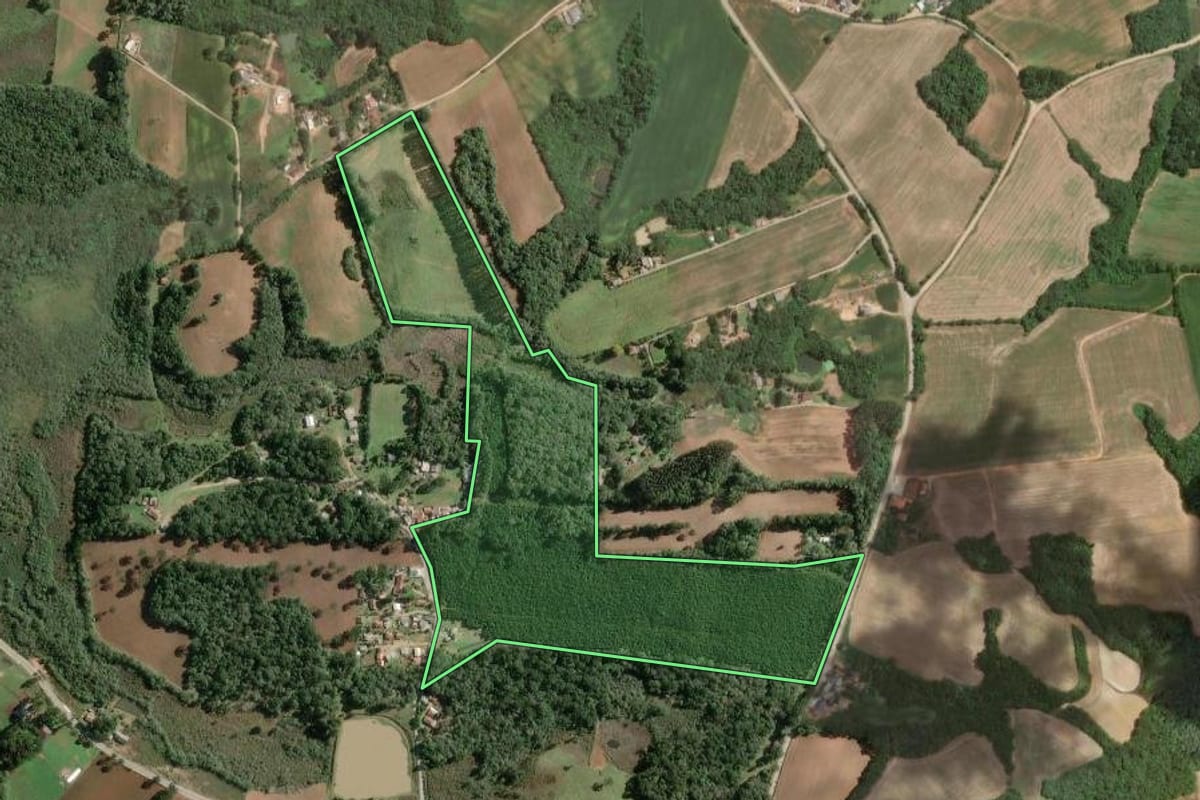 Imagem de satélite do imóvel rural em Araucária (PR), com o contorno declarado no CAR desenhado por cima.