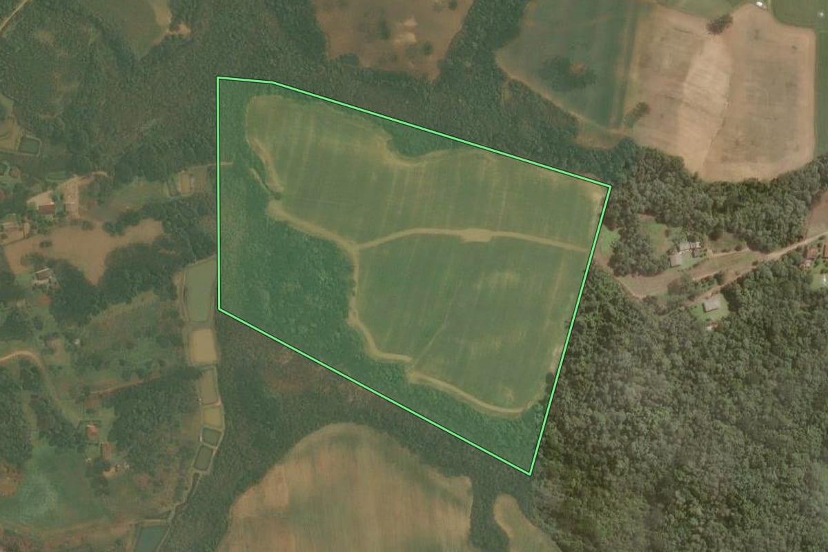 Imagem de satélite do imóvel rural em Araucária (PR), com o contorno declarado no CAR desenhado por cima.