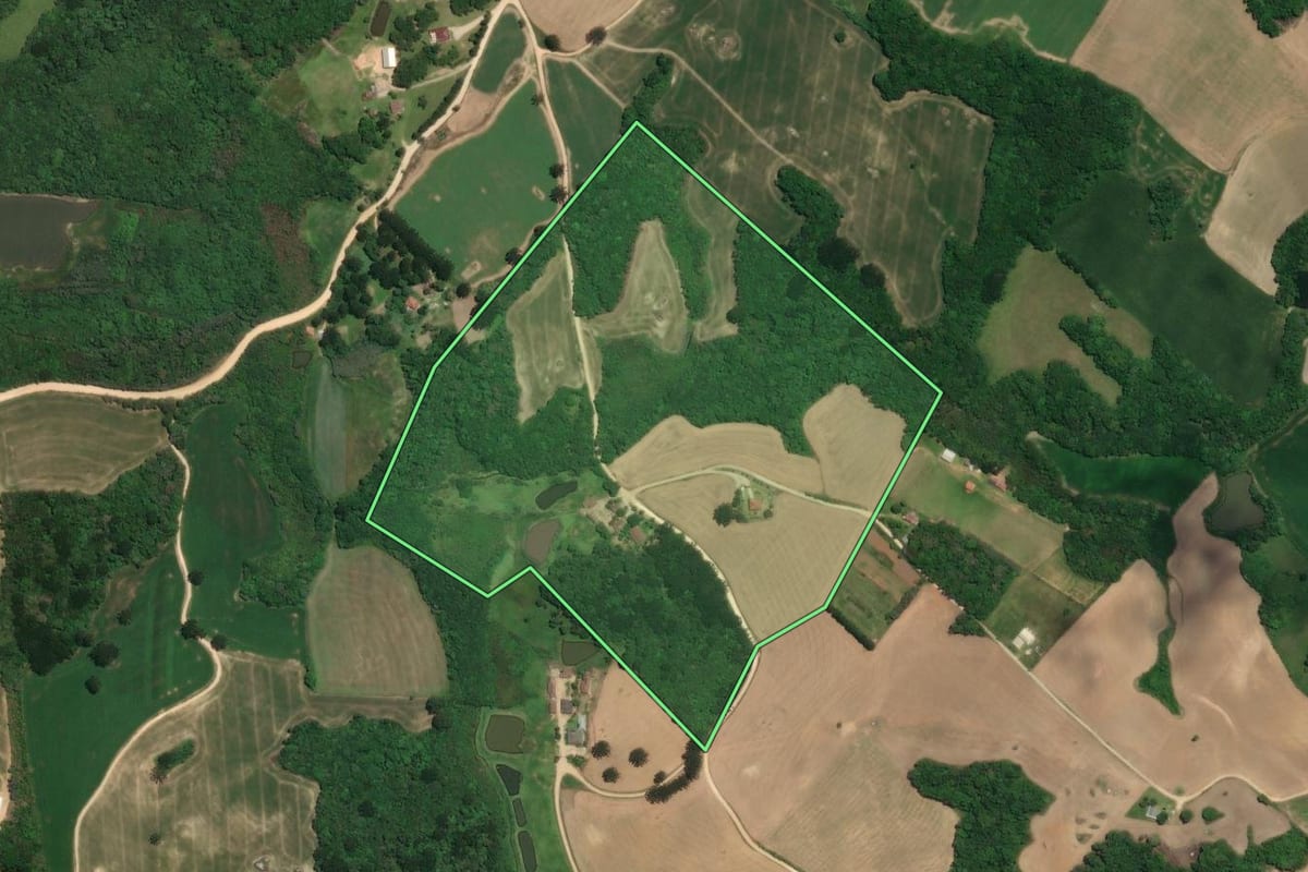 Imagem de satélite do imóvel rural em Araucária (PR), com o contorno declarado no CAR desenhado por cima.
