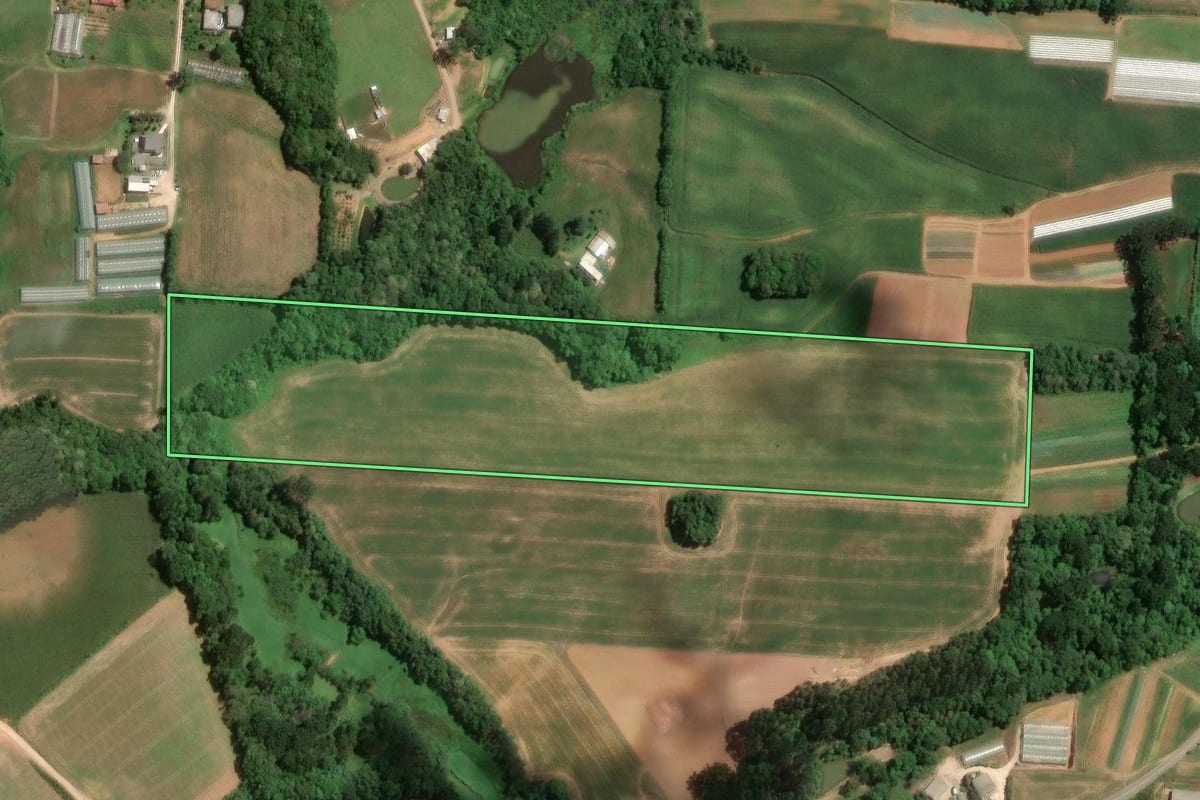 Imagem de satélite do imóvel rural em Araucária (PR), com o contorno declarado no CAR desenhado por cima.