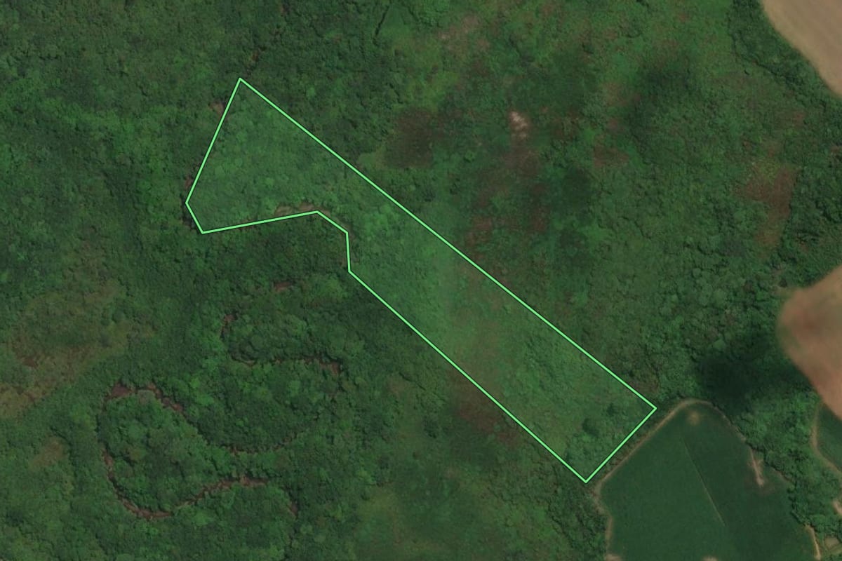 Imagem de satélite do imóvel rural em Araucária (PR), com o contorno declarado no CAR desenhado por cima.