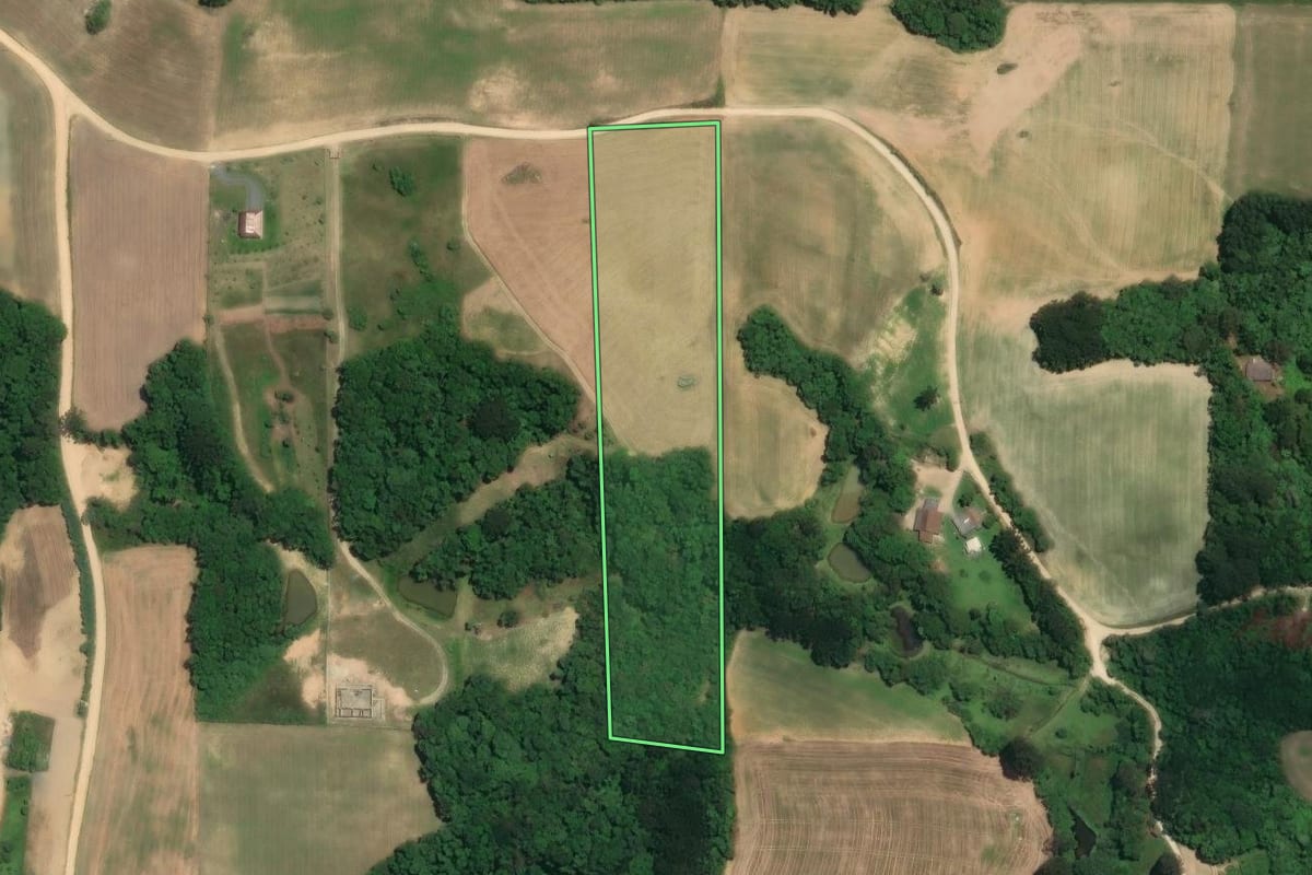 Imagem de satélite do imóvel rural em Araucária (PR), com o contorno declarado no CAR desenhado por cima.