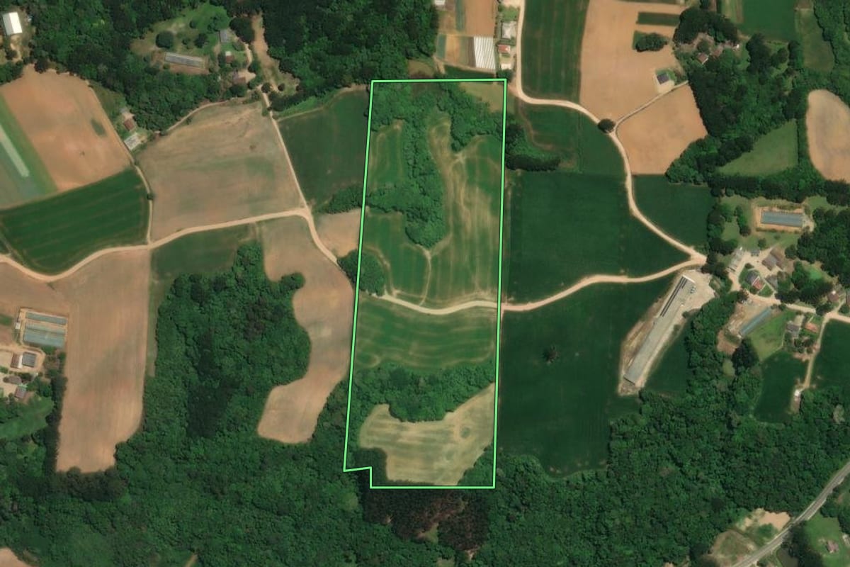 Imagem de satélite do imóvel rural em Araucária (PR), com o contorno declarado no CAR desenhado por cima.