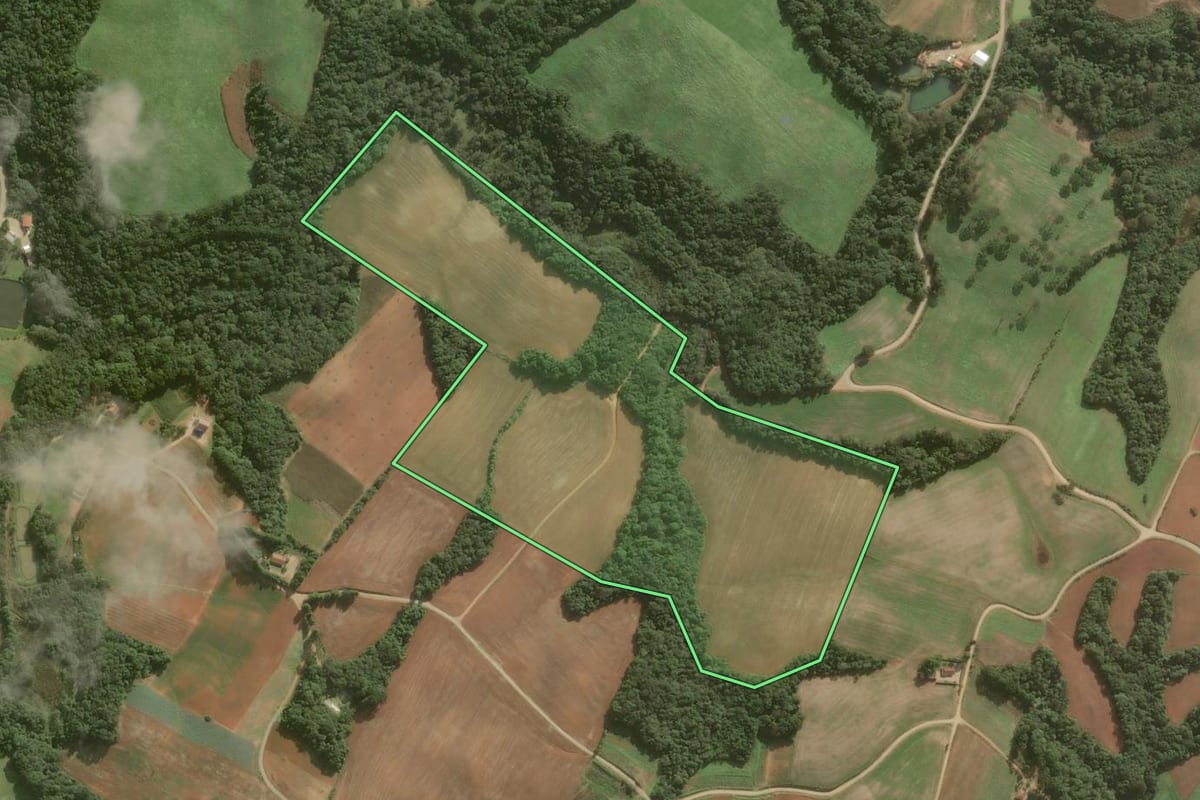 Imagem de satélite do imóvel rural em Araucária (PR), com o contorno declarado no CAR desenhado por cima.