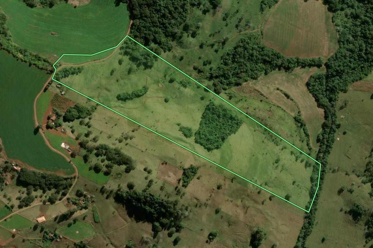 Imagem de satélite do imóvel rural em Ariranha do Ivaí (PR), com o contorno declarado no CAR desenhado por cima.