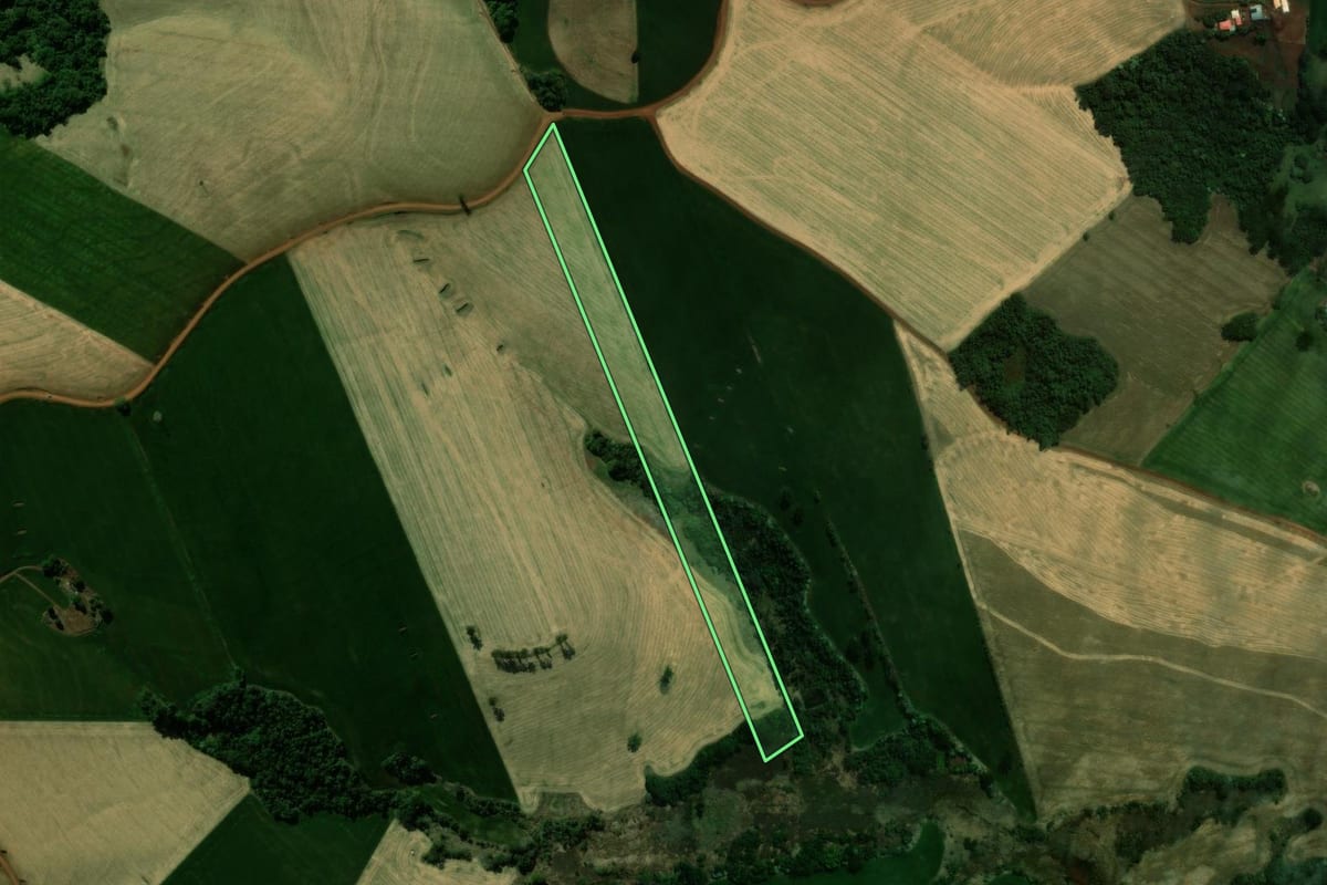 Imagem de satélite do imóvel rural em Ariranha do Ivaí (PR), com o contorno declarado no CAR desenhado por cima.