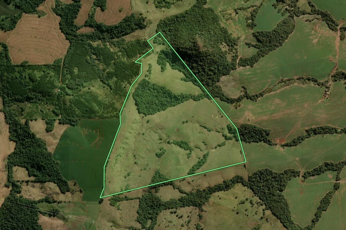 Imagem de satélite do imóvel rural em Ariranha do Ivaí (PR), com o contorno declarado no CAR desenhado por cima.