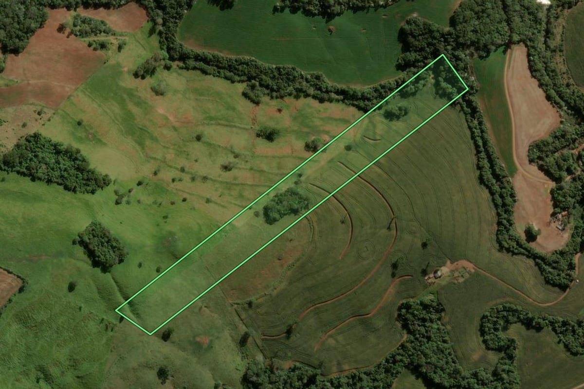 Imagem de satélite do imóvel rural em Ariranha do Ivaí (PR), com o contorno declarado no CAR desenhado por cima.