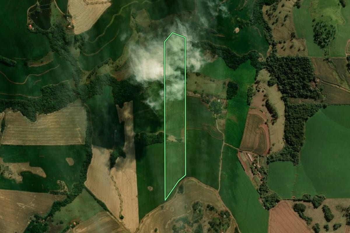 Imagem de satélite do imóvel rural em Ariranha do Ivaí (PR), com o contorno declarado no CAR desenhado por cima.