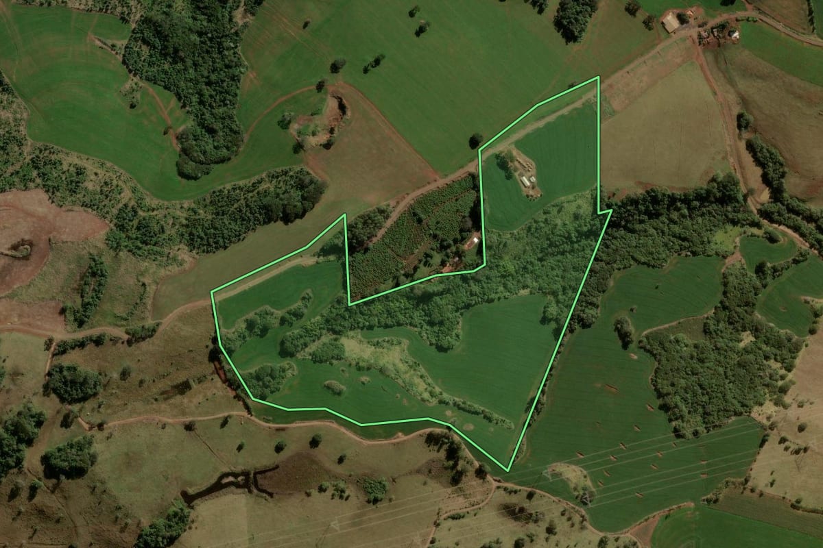 Imagem de satélite do imóvel rural em Ariranha do Ivaí (PR), com o contorno declarado no CAR desenhado por cima.