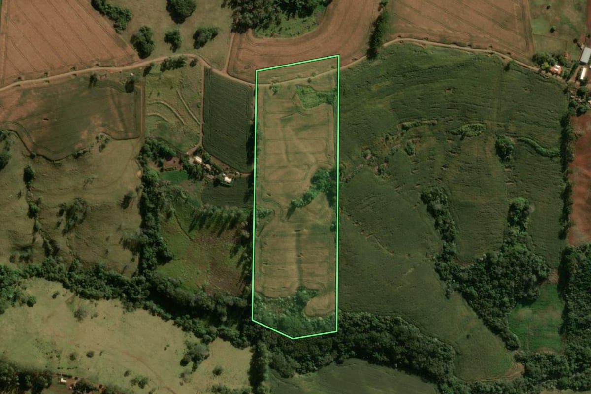 Imagem de satélite do imóvel rural em Ariranha do Ivaí (PR), com o contorno declarado no CAR desenhado por cima.