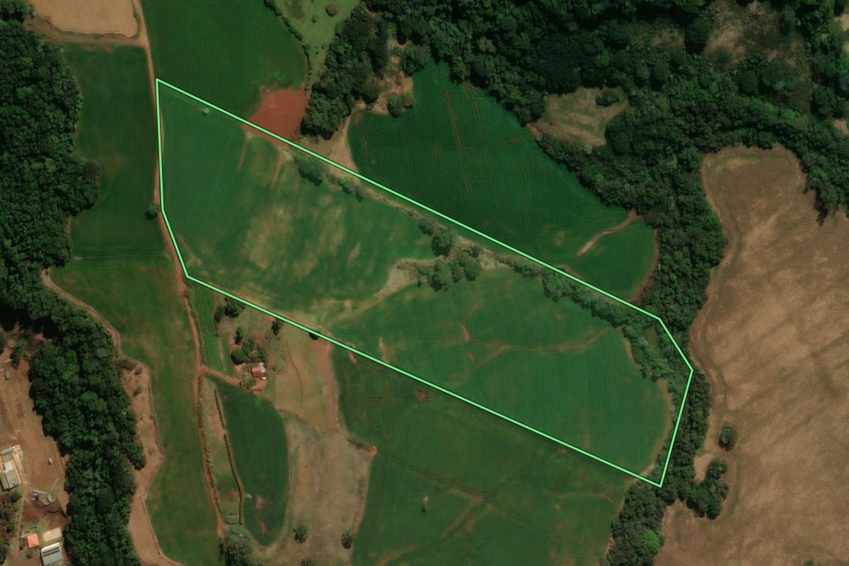 Imagem de satélite do imóvel rural em Ariranha do Ivaí (PR), com o contorno declarado no CAR desenhado por cima.