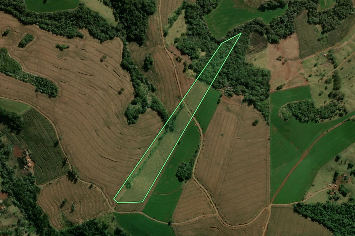 Imagem de satélite do imóvel rural em Ariranha do Ivaí (PR), com o contorno declarado no CAR desenhado por cima.