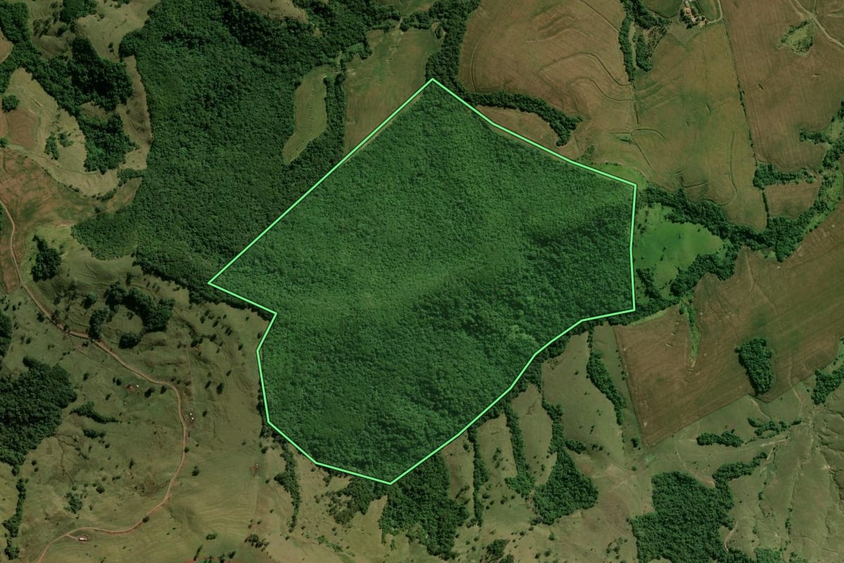 Imagem de satélite do imóvel rural em Ariranha do Ivaí (PR), com o contorno declarado no CAR desenhado por cima.